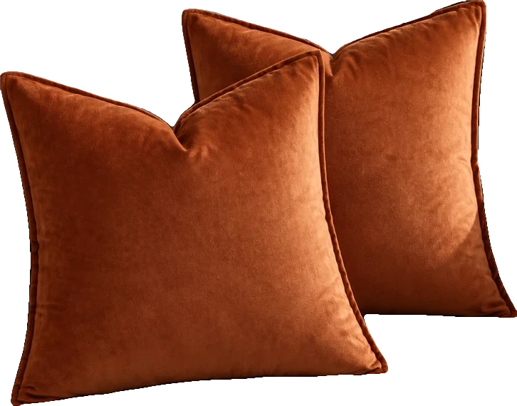 Velvet cushion covers · set of two